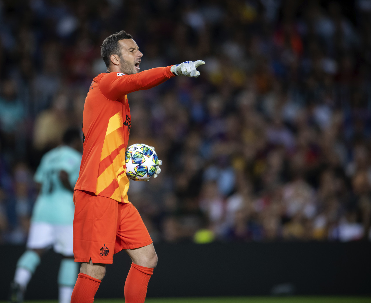 球迷对比赛 球迷对比赛