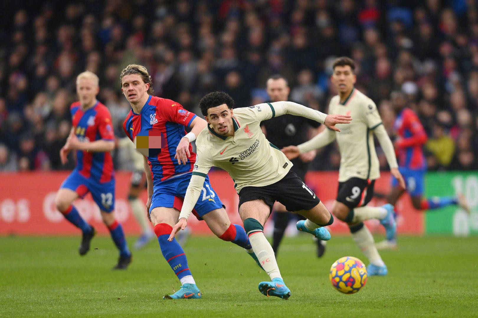 报不仅体现 报不仅体现